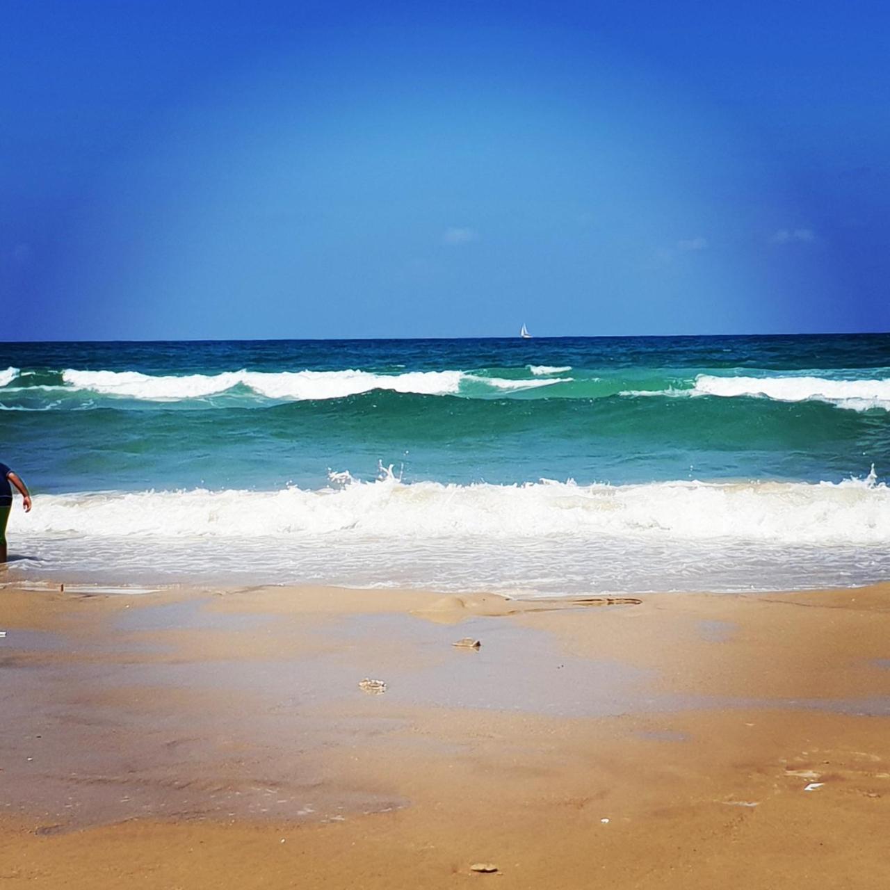 Sweet Home On The Beach تل أبيب المظهر الخارجي الصورة